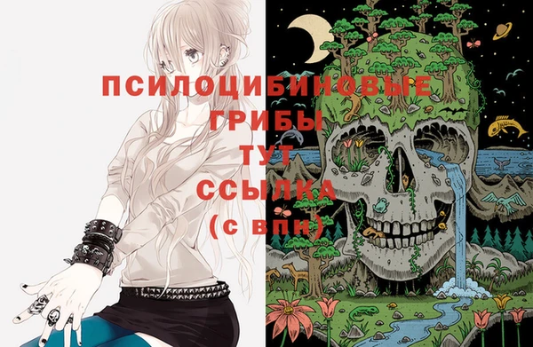 каннабис Яровое