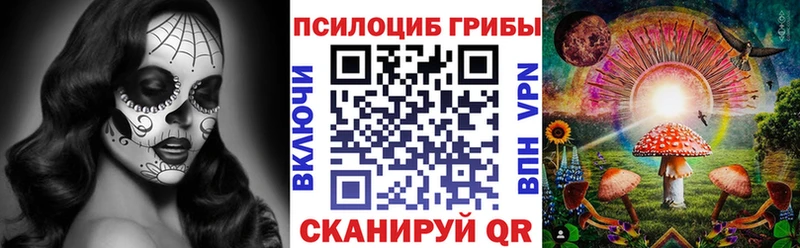 Купить где  Николаевск  Галлюциногенные грибы MAGIC MUSHROOMS 