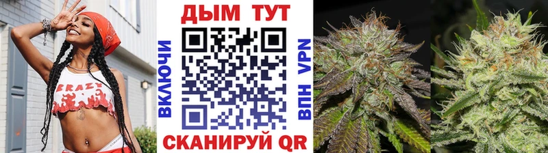 Бошки марихуана марихуана Николаевск